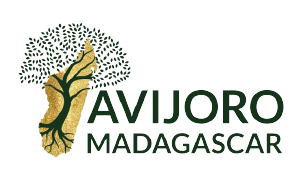 logo_2022-01-01