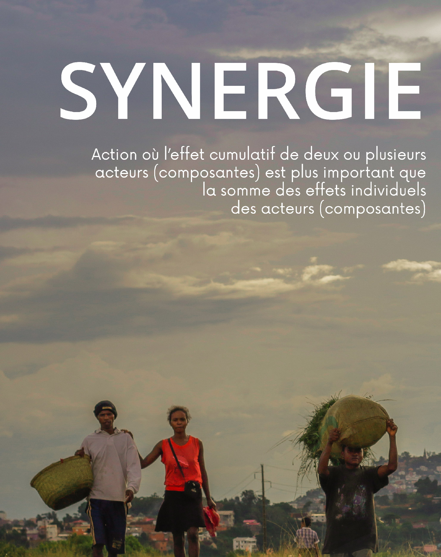 synergie-01-01-01 synergie-01-01-01